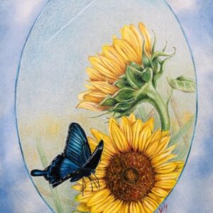 Rest Your Wings