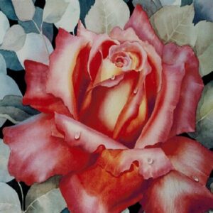 Dynamic Red Rose